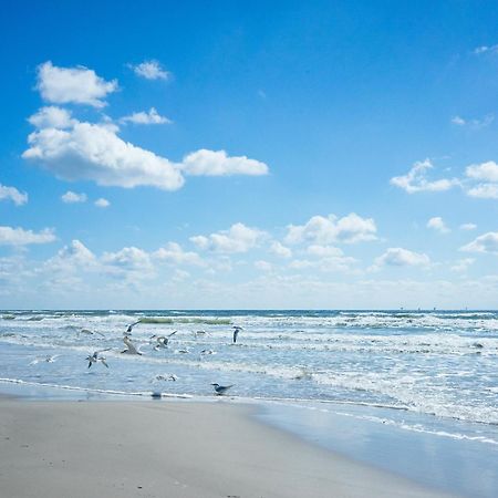 King'S Cove 5 Min To Beach, Bbq, King Bed Corpus Christi Exteriér fotografie